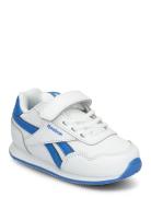 Reebok Classics Reebok Royal Cl Jog Vit