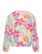 Tom Tailor Crop All Over Print Sweatshirt Multi/patterned