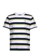 Striped T-Shirt Tops T-shirts Short-sleeved White Tom Tailor
