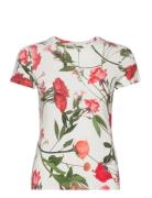 Treyya Tops T-shirts & Tops Short-sleeved White Ted Baker London