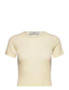 Rib Baby Tee Designers T-shirts & Tops Short-sleeved Cream Les Coyotes...