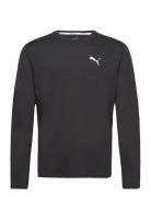 PUMA Run Cloudspun Ls Tee Svart