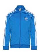 Sst Track Top Sport Sweat-shirts & Hoodies Sweat-shirts Blue Adidas Or...