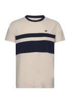 Hco. Guys Knits Tops T-shirts Short-sleeved Beige Hollister