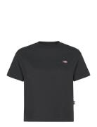 Oakport Boxy Ss Tee Tops T-shirts & Tops Short-sleeved Black Dickies