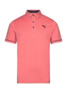 PUMA Golf Cloudspun Haystack Polo Korall