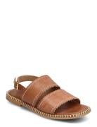 ANGULUS Sandals - Flat Brun