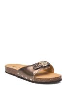 Scholl Sl Pescura Margot Leather Brun