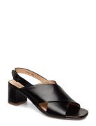 ANGULUS Sandals - Block Heels Svart