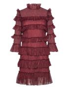 Carmine Frill Mini Lace Dress Designers Short Dress Burgundy Malina