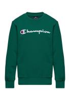 Crewneck Sweatshirt Sport Sweat-shirts & Hoodies Sweat-shirts Green Ch...