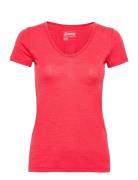 Wooly Ws Top Tops T-shirts & Tops Short-sleeved Pink 8848 Altitude