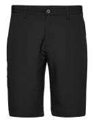 Lexton Links Pancras Golf Shorts Svart