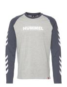Hmllegacy Blocked T-Shirt L/S Sport T-shirts & Tops Long-sleeved Multi...