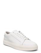 Low Top Lace Up Lth Låga Sneakers White Calvin Klein