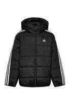 J Ess 3S Pad Fodrad Jacka Black Adidas Sportswear