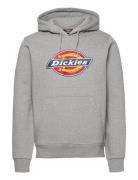 Dickies Icon Logo Hoodie Grå