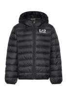 EA7 Down Jacket Svart