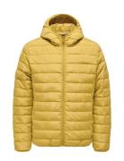 Onsbron Hood Quilt Jacket Otw Vd Fodrad Jacka Yellow ONLY & SONS