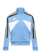 J Np Ttop Tops Sweat-shirts & Hoodies Sweat-shirts Blue Adidas Sportsw...