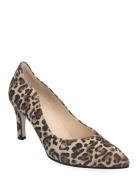 Gabor Pumps Brun