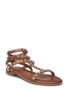 Sandals Platta Sandaler Brown Billi Bi