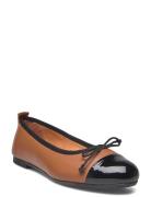 Lucy Ballerinaskor Ballerinas Brown Pavement