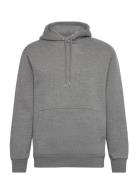 Selected Homme Slhreg-Dan Sweat Hood Grå