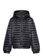 Shiny Light Padded Down Jacket Fodrad Jacka Black GANT