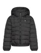 Shield Padded Jacket Fodrad Jacka Black GANT