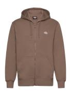 Dickies Summerdale Zip Through Brun