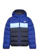 J Sd Jkt Fodrad Jacka Blue Adidas Sportswear