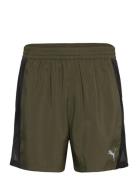 PUMA Run Favorite Velocity 5" Short M Khaki Green