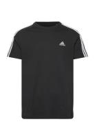 Adidas Sportswear M 3S Sj T Svart