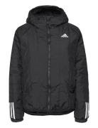 Adidas Sportswear Itavic 3-Stripes Light Hooded Jacket Svart