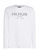 Big Hilfiger Ls Tee Tops T-shirts Short-sleeved White Tommy Hilfiger