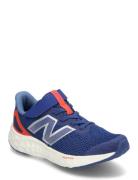 New Balance New Balance Freshfoam Arishi Kids Bungee Lace With Hook & ...