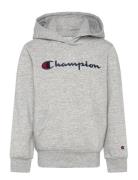 Champion Hooded Sweatshirt Grå