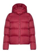 Calvin Klein Jeans Mw Down Short Puffer Rosa