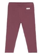 Fixoni Leggings Rib Burgundy