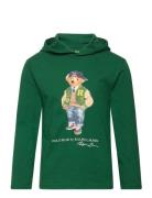 Ralph Lauren Kids Polo Bear Cotton Jersey Hooded Tee Grön