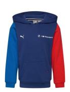 Bmw Mms Kids Ess Hoodie Ft Tops Sweat-shirts & Hoodies Hoodies Navy PU...