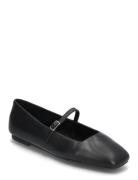 Ezri Ballerinas Ballerinaskor Ballerinas Black Steve Madden