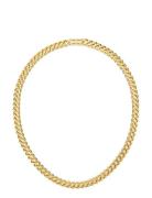 Edblad Curb Chain Necklace Guld