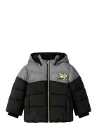 Nmmmorten Puffer Jacket Dino Detail Fodrad Jacka Black Name It