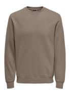 ONLY & SONS Onsceres Crew Neck Noos Brun