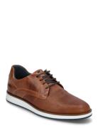 Beko Låga Sneakers Brown Dune London