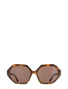 Grace Tortoise Brown Solglasögon Brown Corlin Eyewear