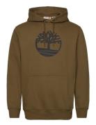 Kennebec River Tree Logo Hoodie Dark Olive Tops Sweat-shirts & Hoodies...