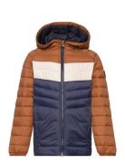 Jjesprint Puffer Hood Noos Jnr Fodrad Jacka Navy Jack & J S